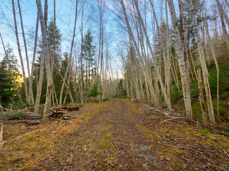 1049 Grafton Road, Bowen Island, BC, V0N 1G2 - 3