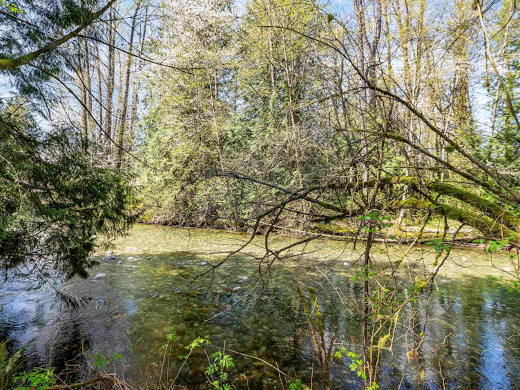 13209 232 Street, Maple Ridge, BC, V4R 2S7 - 2