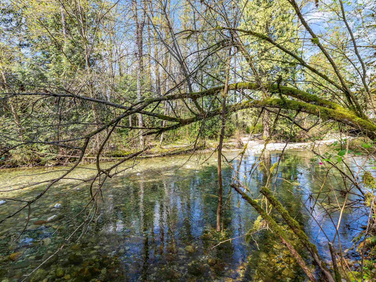 13209 232 Street, Maple Ridge, BC, V4R 2S7 - 29