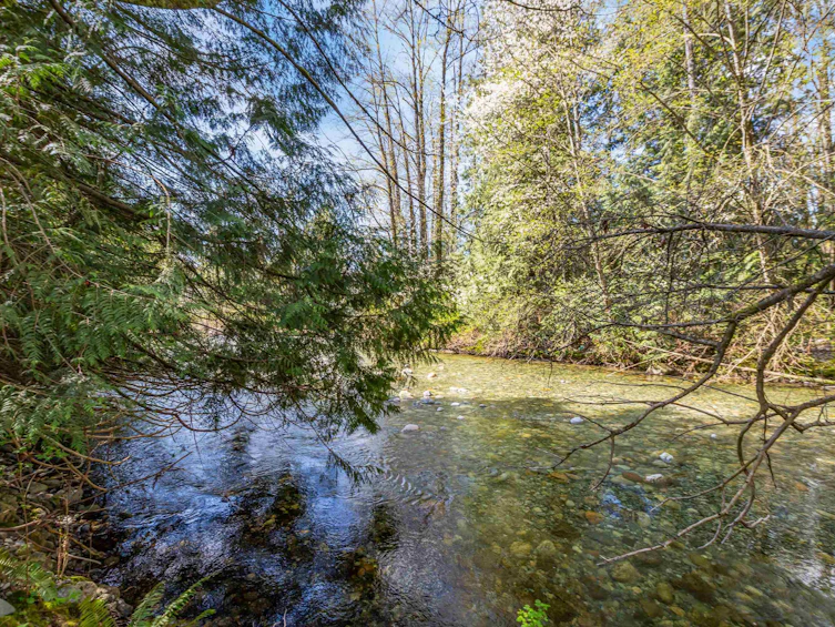 13209 232 Street, Maple Ridge, BC, V4R 2S7 - 30