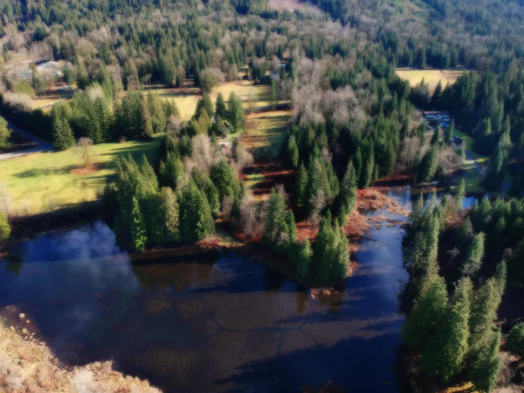 14157 Sylvester Road, Mission, BC, V2V 0B1 - 29