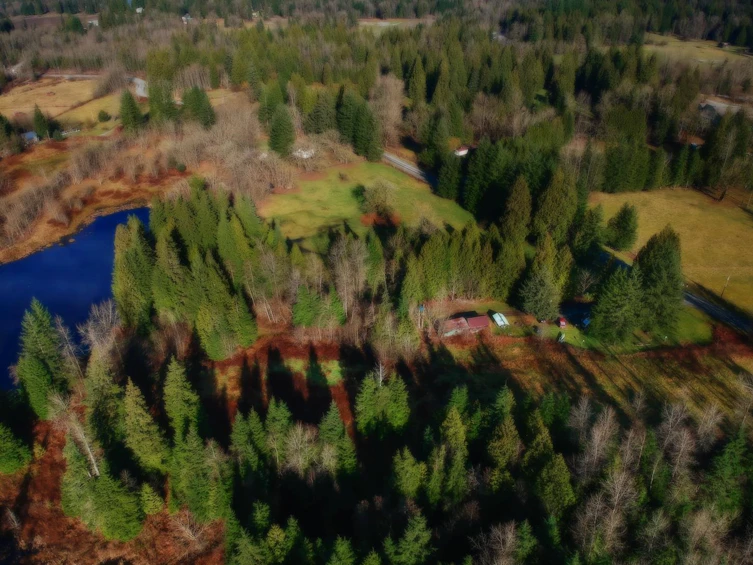14157 Sylvester Road, Mission, BC, V2V 0B1 - 38