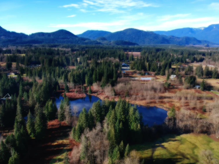 14157 Sylvester Road, Mission, BC, V2V 0B1 - 37