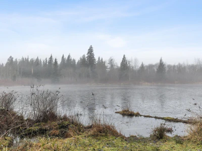 14157 Sylvester Road - 3