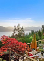 485 Timbertop Drive