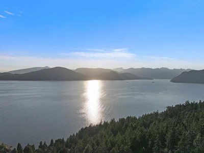 485 Timbertop Drive - 2