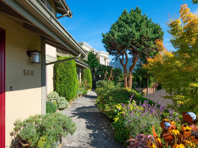 560 Craigmohr Drive - 4