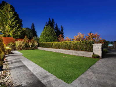 2449 Kings Avenue - 4