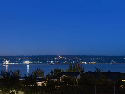 2449 Kings Avenue - 3