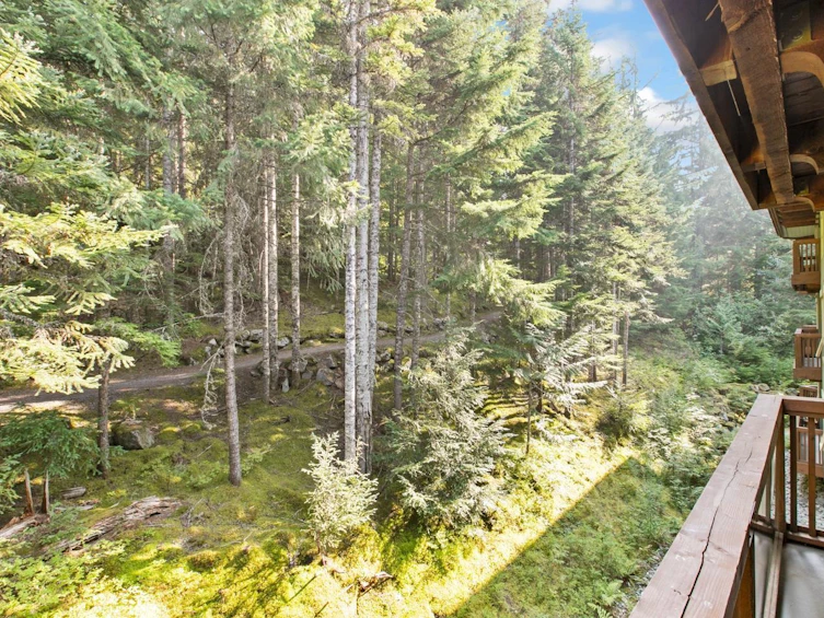 310G2-4653 Blackcomb Way, Whistler, BC, V8E 0Y9 - 7
