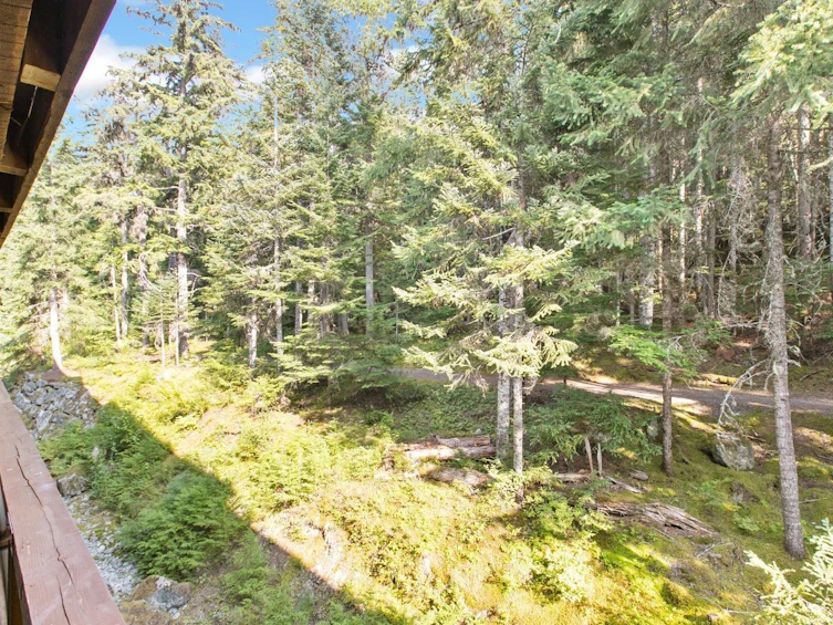 310G2-4653 Blackcomb Way, Whistler, BC, V8E 0Y9 - 6