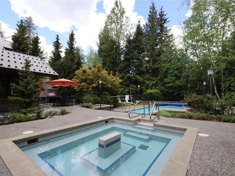 310G2-4653 Blackcomb Way, Whistler, BC, V8E 0Y9 - 22