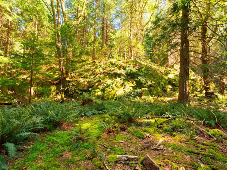 1587 Mount Gardner Road, Bowen Island, BC, V0N 1G2 - 26