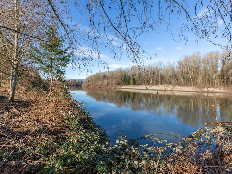23073 Muench Trail, Langley, BC, V1M 4G6 - 36