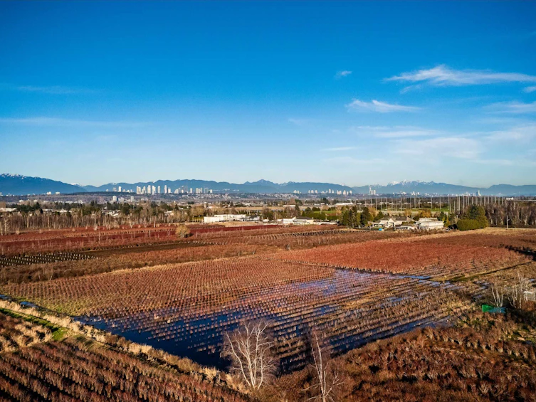 13371 Blundell Road, Richmond, BC, V6W 1B6 - 32