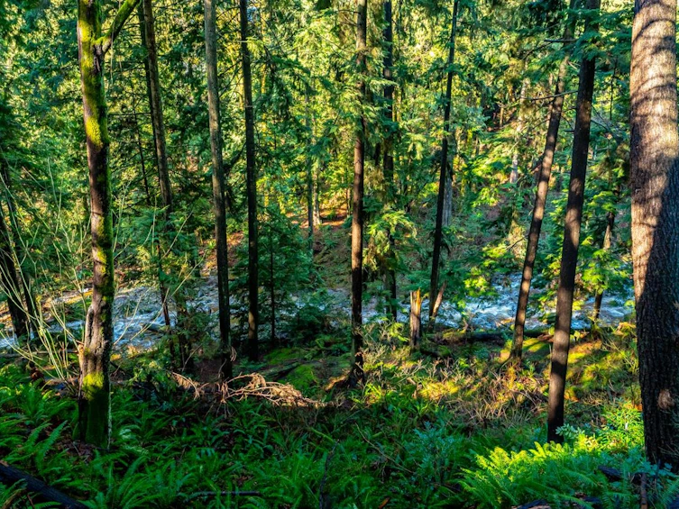 839 Alexander Bay, Port Moody, BC, V3H 3R7 - 19