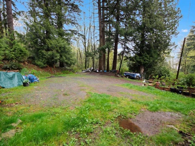 2391 Lougheed Highway - 2