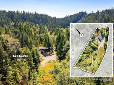 1290 Cowan Point Drive - 4
