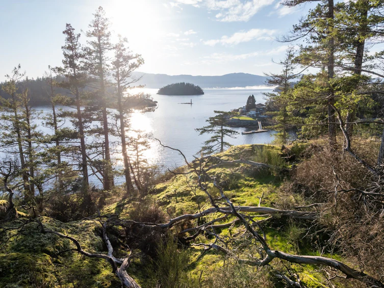 Lot 24 Pender Landing Road, Pender Harbour Egmont, BC, V0N 1S1 - 13