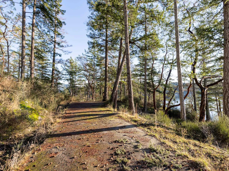 Lot 24 Pender Landing Road, Pender Harbour Egmont, BC, V0N 1S1 - 15