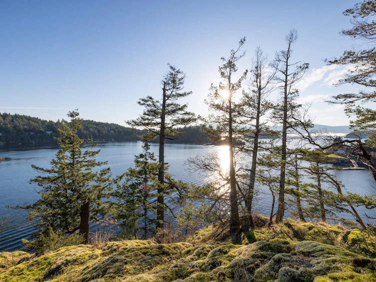 Lot 24 Pender Landing Road, Pender Harbour Egmont, BC, V0N 1S1 - 21