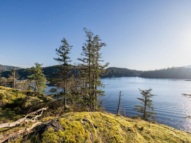 Lot 24 Pender Landing Road, Pender Harbour Egmont, BC, V0N 1S1 - 19