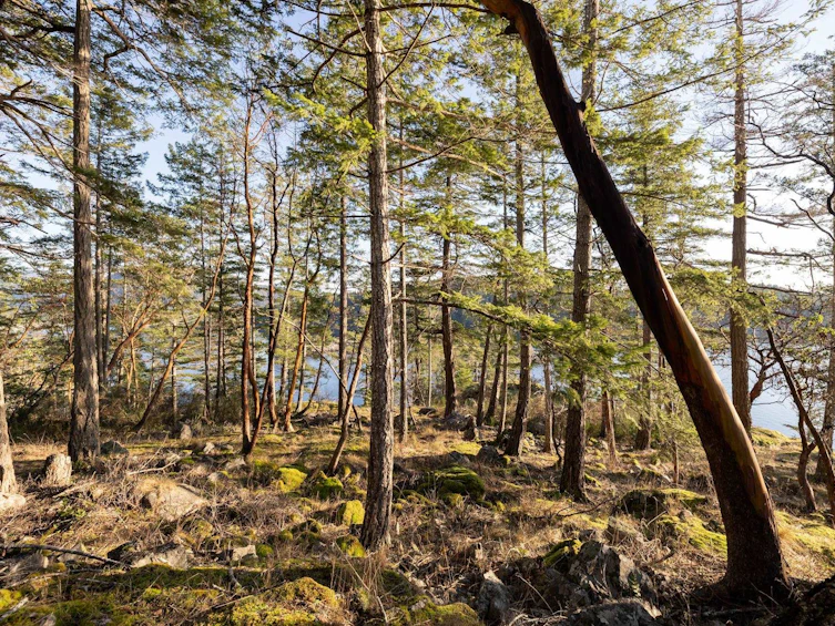 Lot 24 Pender Landing Road, Pender Harbour Egmont, BC, V0N 1S1 - 23