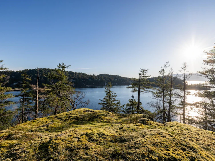 Lot 24 Pender Landing Road, Pender Harbour Egmont, BC, V0N 1S1 - 22