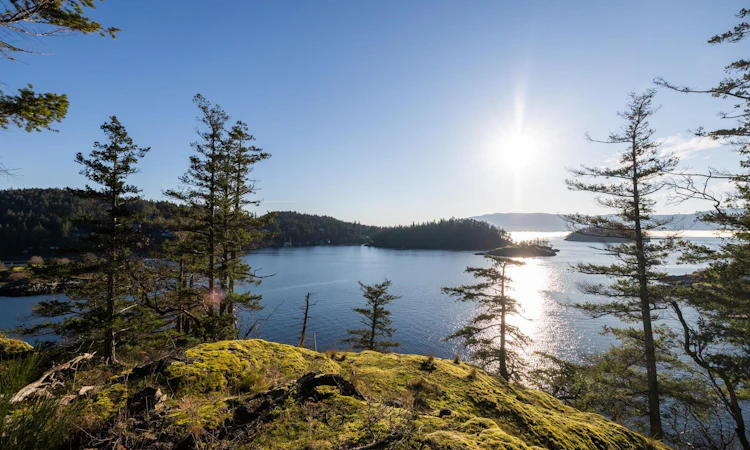 Lot 24 Pender Landing Road