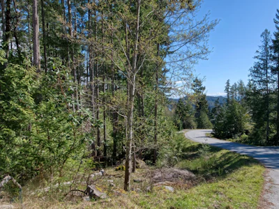 LOT 119 Godkin Way - 3