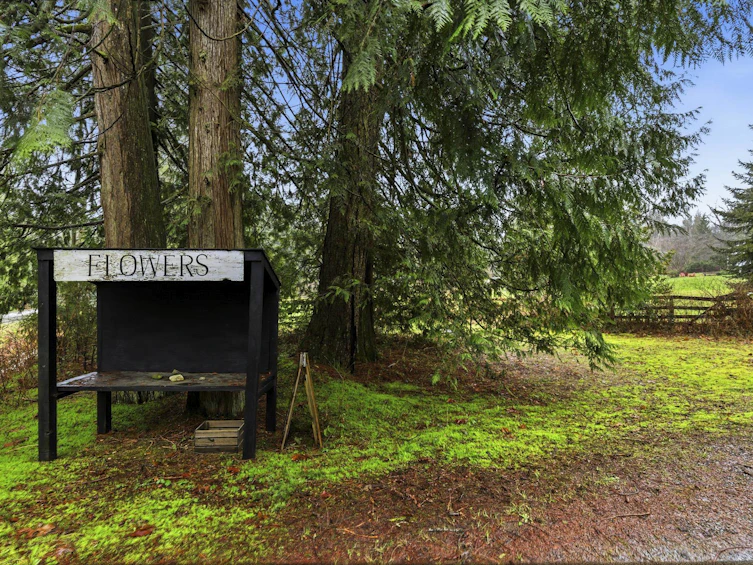 12191 Bell Street, Mission, BC, V4S 1C3 - 37