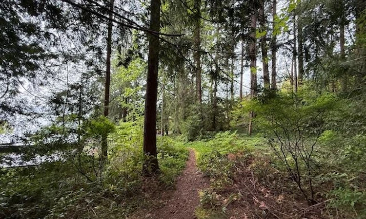 LOT 10 Elphinstone Avenue