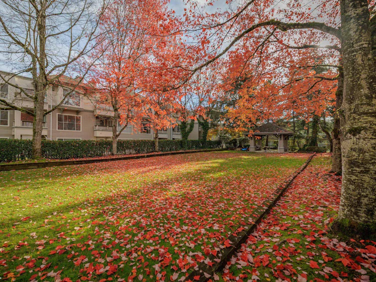 125-8880 Jones Road, Richmond, BC, V6Y 3Z1 - 22