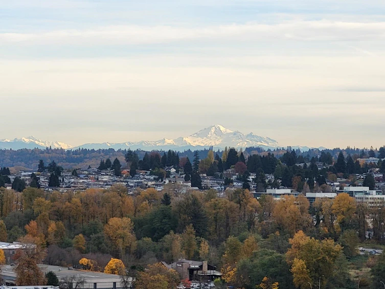 2006-2345 Madison Avenue, Burnaby, BC, V5C 0B4 - 2