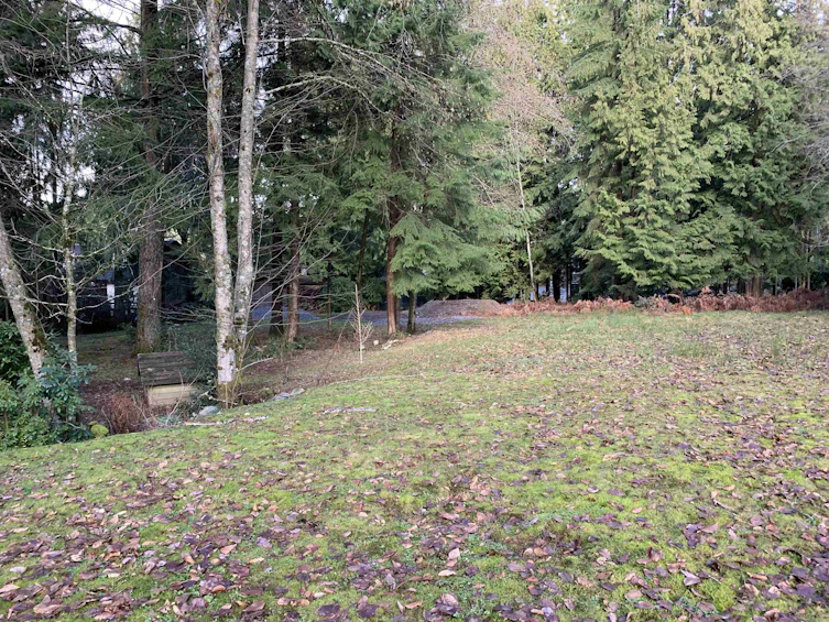 2490 Leggett Drive, Port Moody, BC, V3H 4W9 - 7