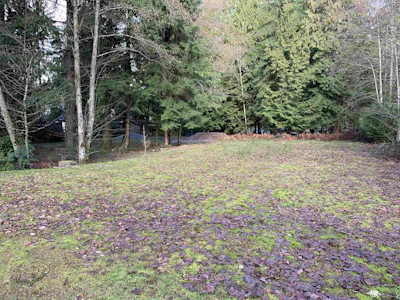 2490 Leggett Drive - 5