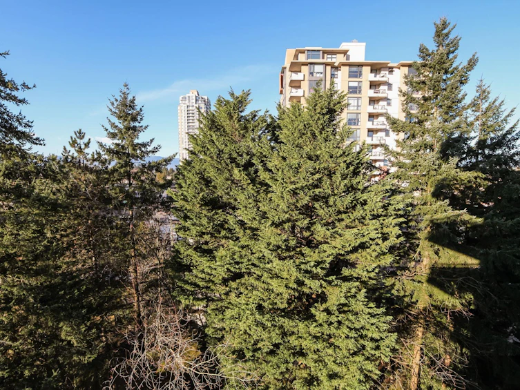 905-7171 Beresford Street, Burnaby, BC, V5E 3Z8 - 13