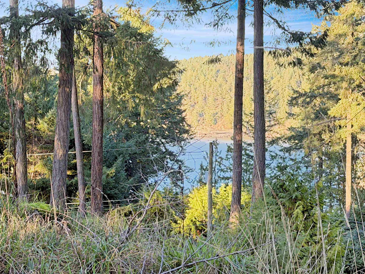 1609 Schooner Way, Pender Island, BC, V0N 2M2 - 3