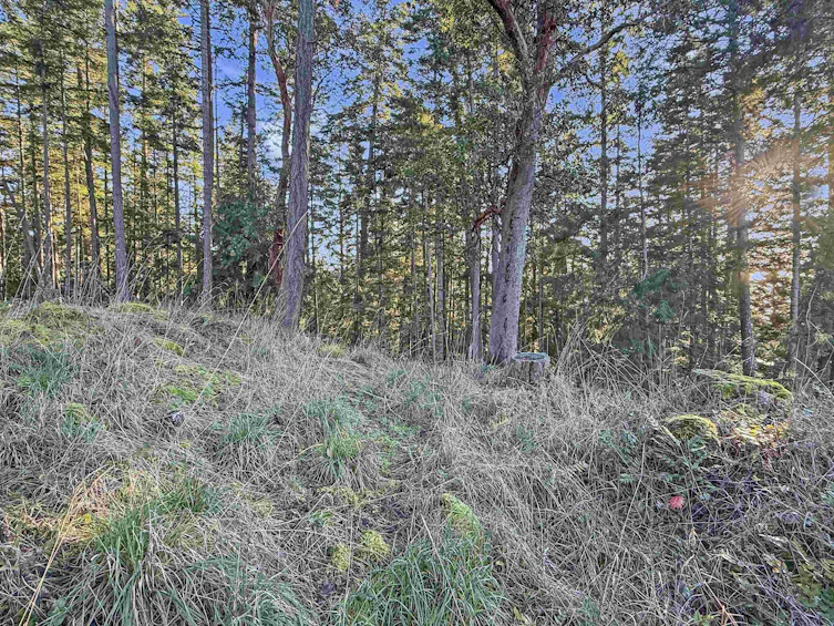1609 Schooner Way, Pender Island, BC, V0N 2M2 - 6