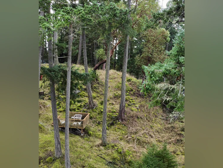 1609 Schooner Way, Pender Island, BC, V0N 2M2 - 8