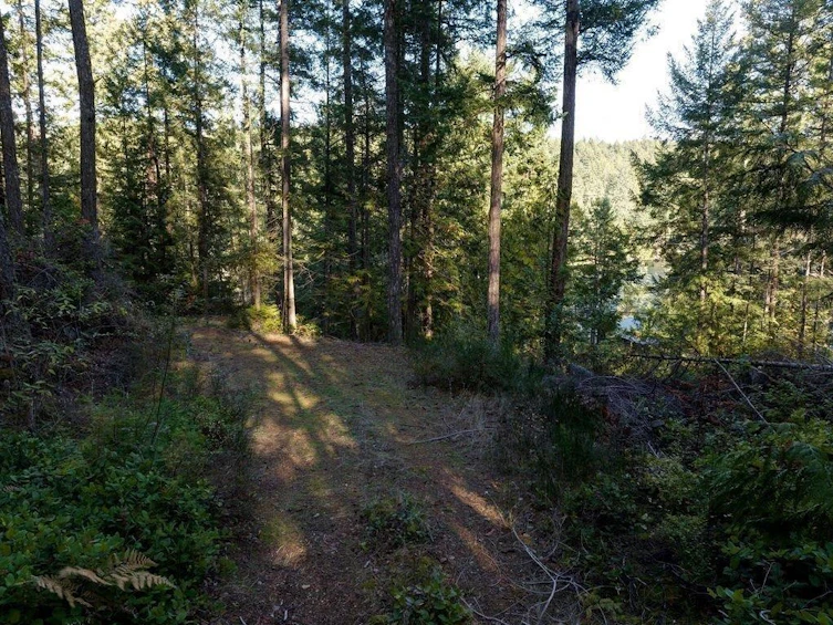 lot 29 Wescan Road, Halfmoon Bay, BC, V0N 1Y2 - 5