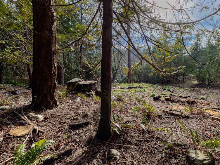 LOT 16 Sinclair Bay Road, Pender Harbour Egmont, BC, V0N 1S0