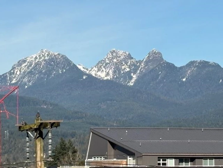 603-11980 222 Street, Maple Ridge, BC, V2X 0L8 - 6