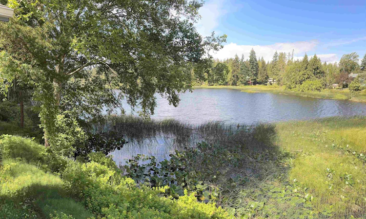 14-12793 Madeira Park Road