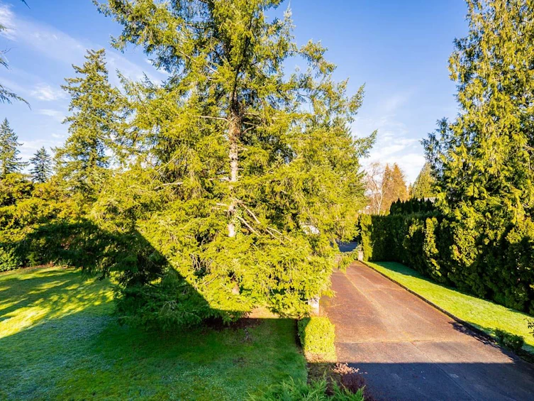 22872 78 Avenue, Langley, BC, V1M 2J6 - 37