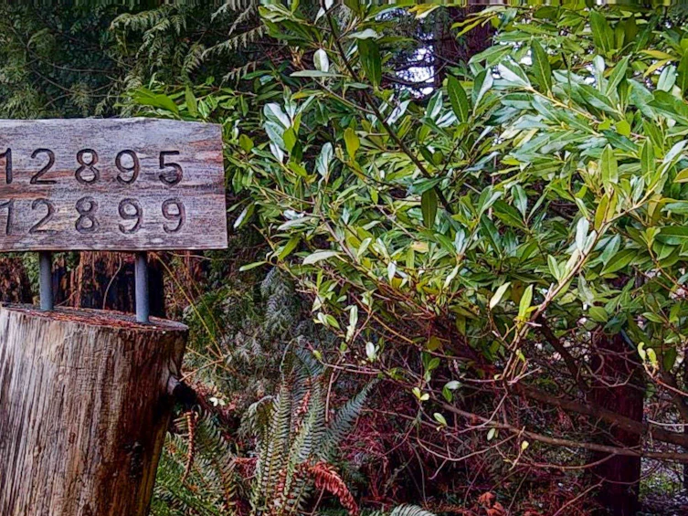 12899 Sunshine Coast Highway, Pender Harbour Egmont, BC, V0N 2H1 - 32