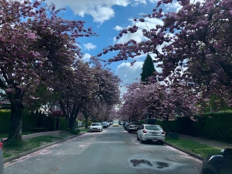 181 W 13th Avenue, Vancouver, BC, V5Y 1V8 - 24