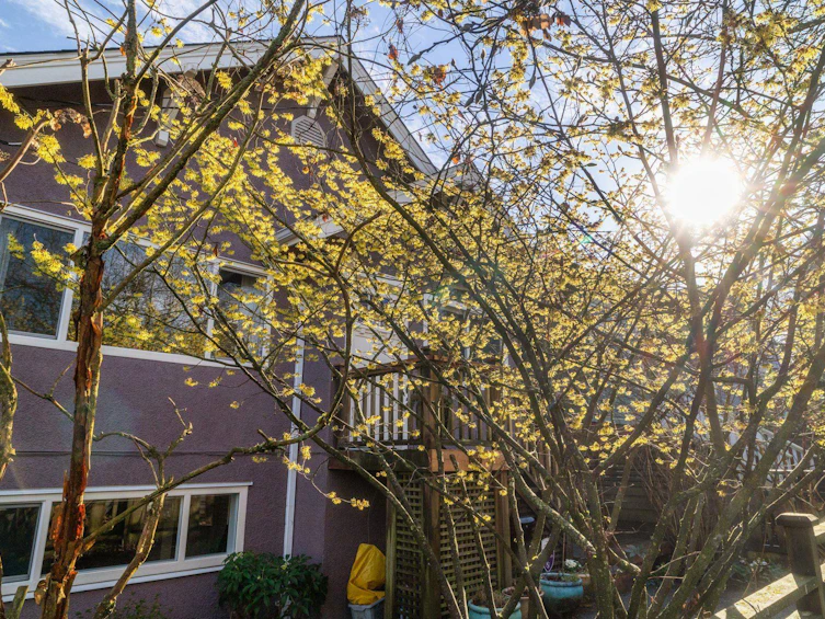 936 Semlin Drive, Vancouver, BC, V5L 4J8 - 31