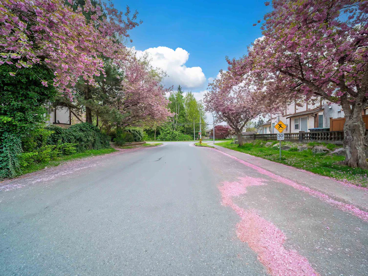 10123 158a Street, Surrey, BC, V4N 2P8 - 38