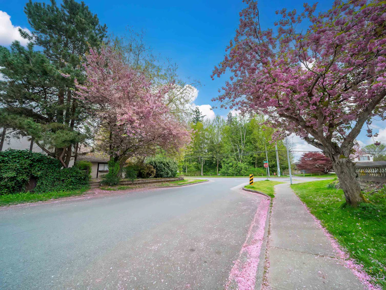 10123 158a Street, Surrey, BC, V4N 2P8 - 39